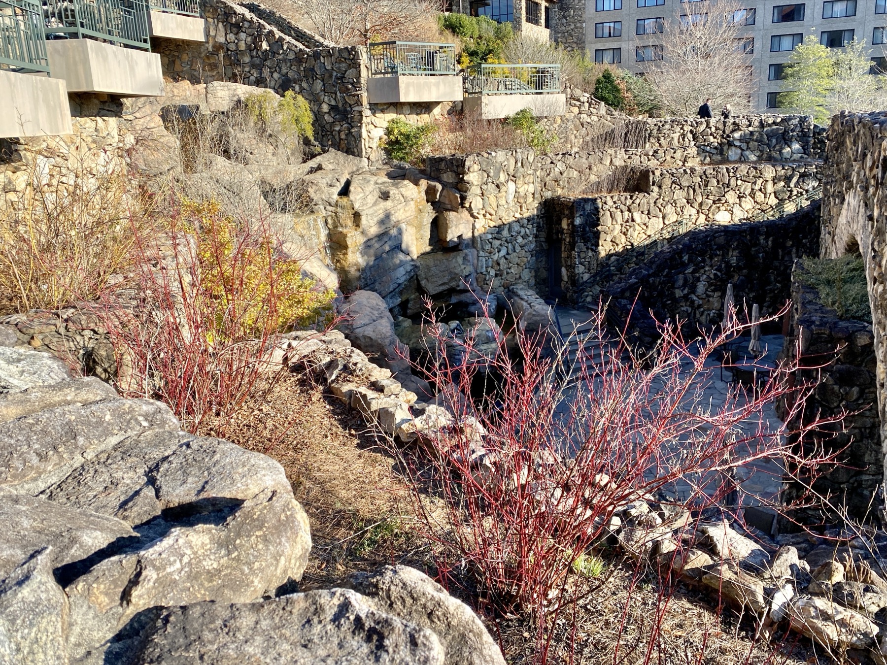 jardin en pente aménagé en paliers successifs, retenus par des murets de pierre