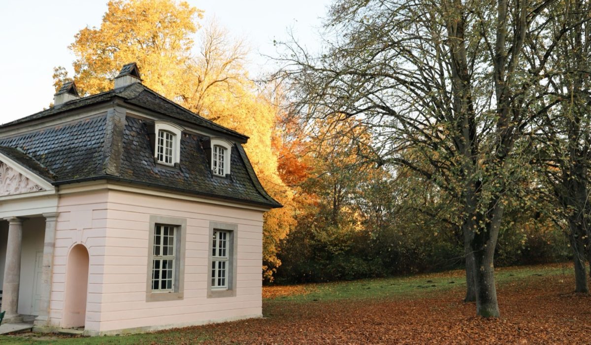 Avant l'hiver : dans quel ordre entretenir jardin et maison