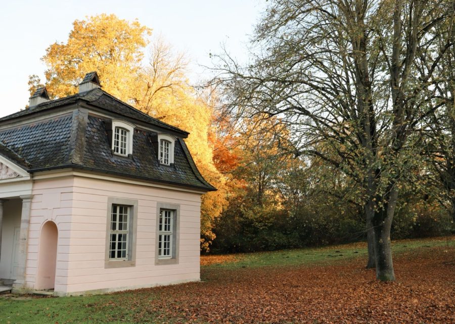 Avant l'hiver : dans quel ordre entretenir jardin et maison