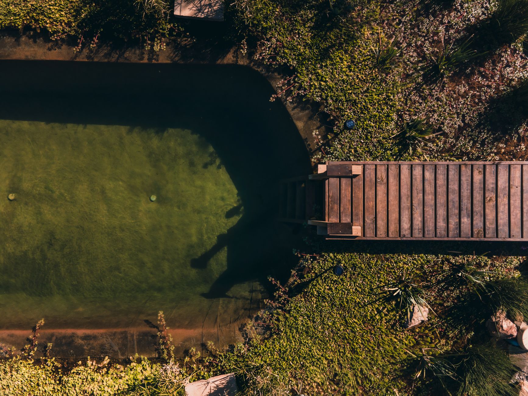 Piscine naturelle : comment éviter les erreurs lors de la transformation ?