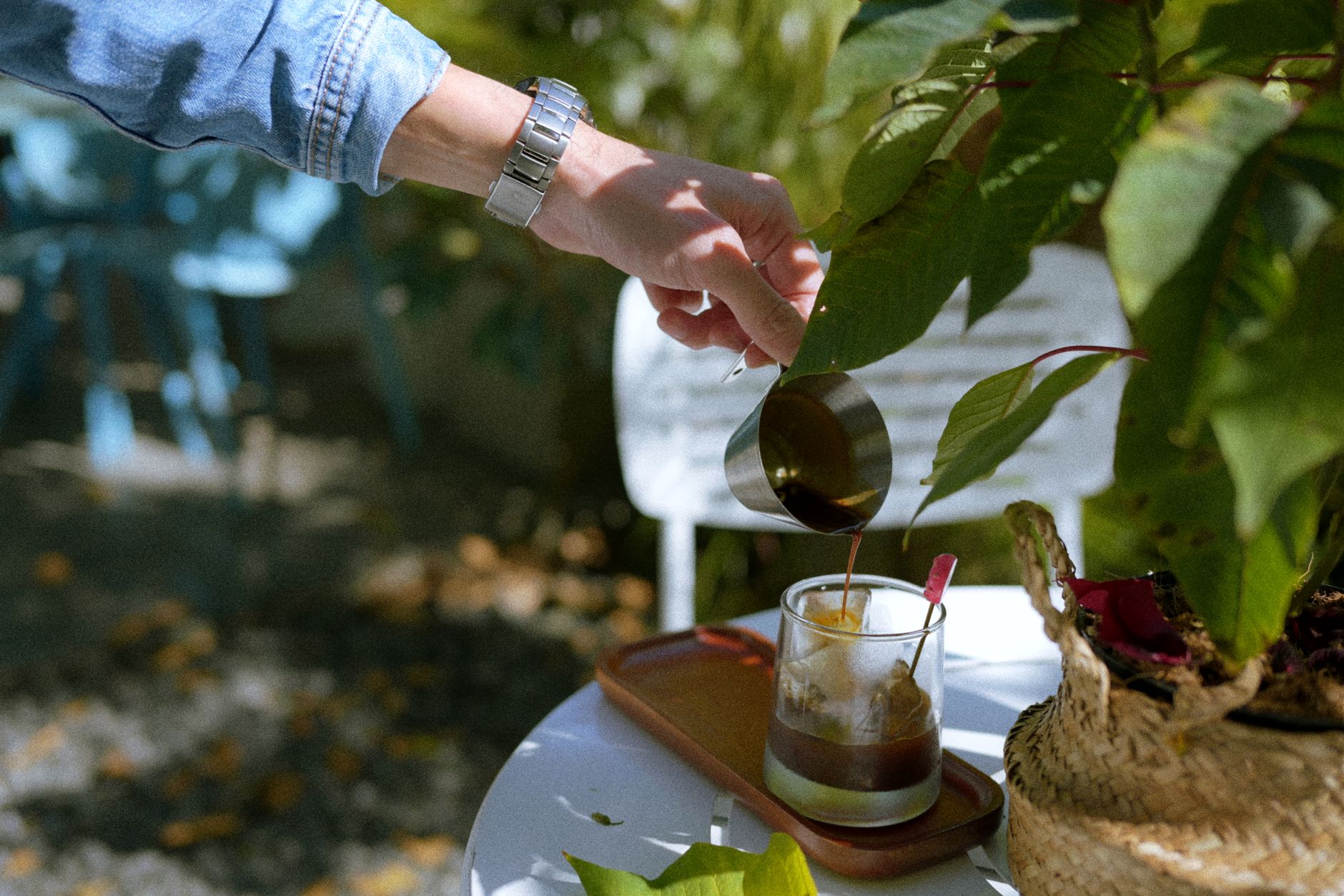Les plantes incontournables pour un jardin éclatant cet automne