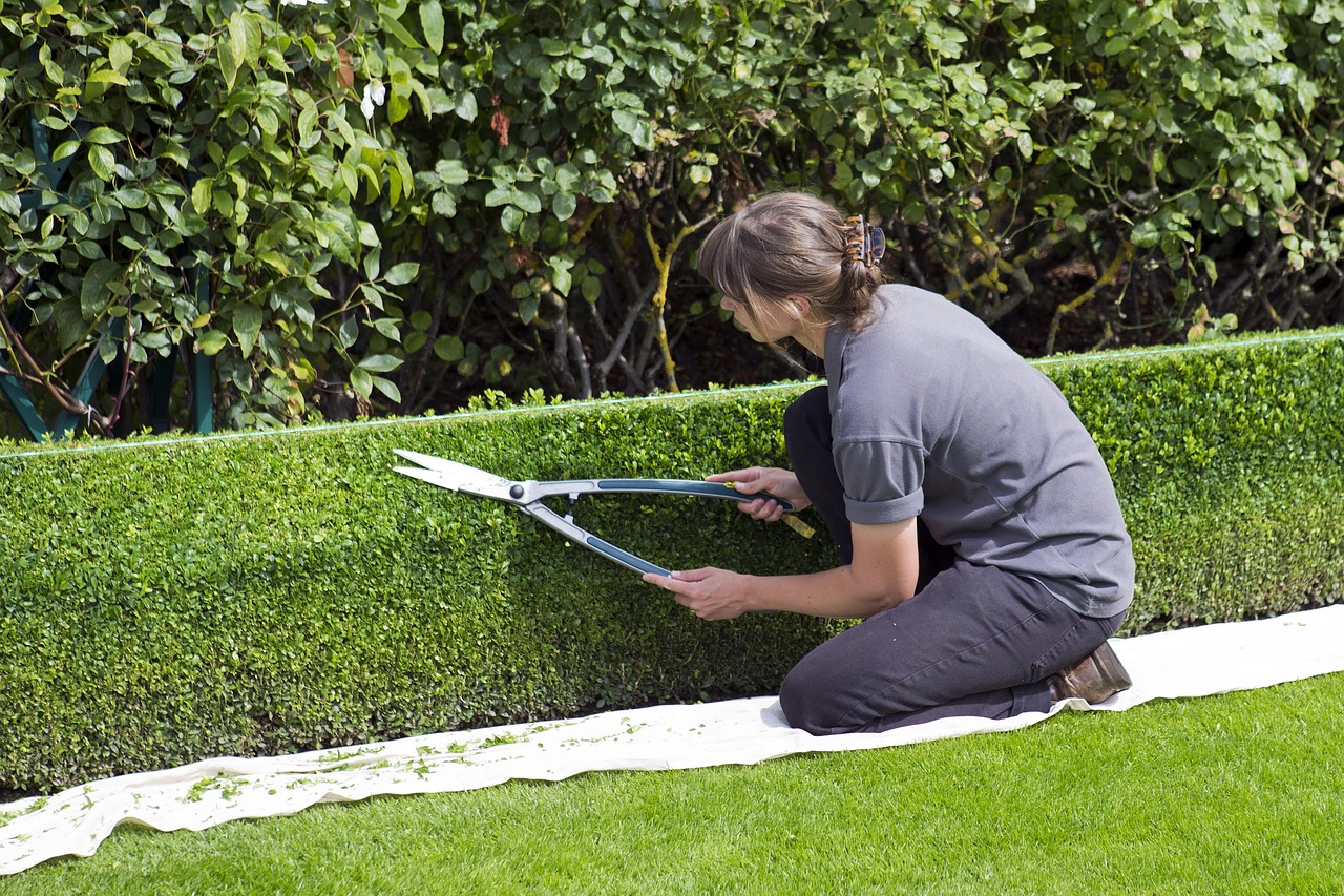 Ce week-end : les événements incontournables pour les passionnés de jardinage qui ne veulent rien rater !