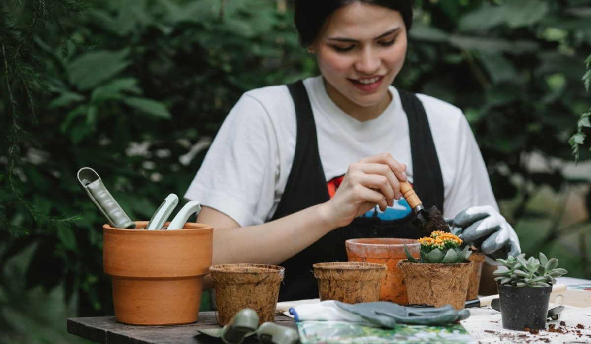 Crédit d’impôt jardinage : taux, plafond et prestations éligibles