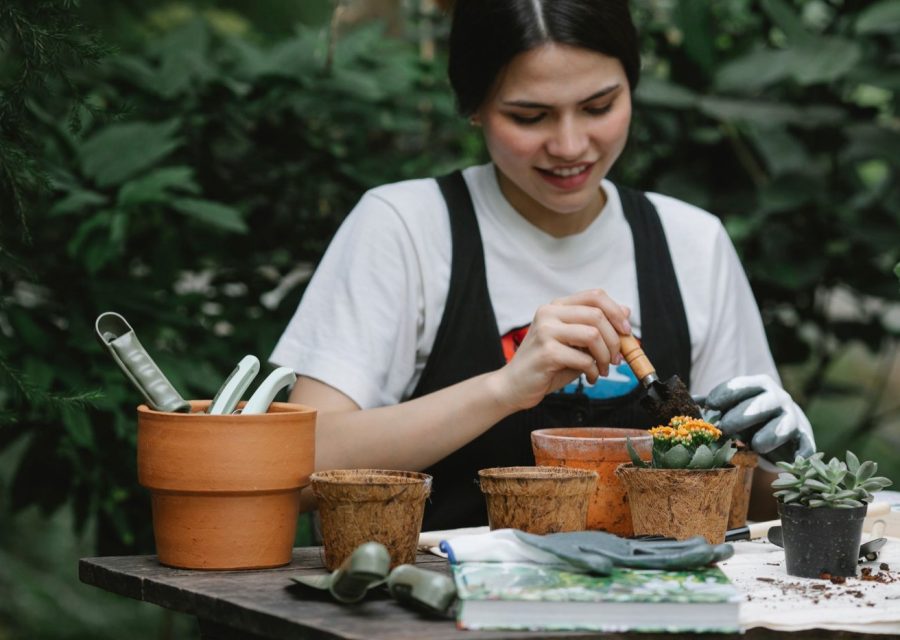 Crédit d’impôt jardinage : taux, plafond et prestations éligibles