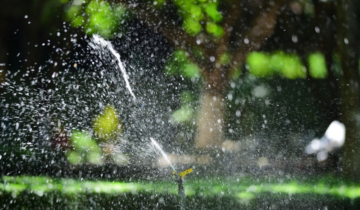 Gardena ou Hunter : quel arrosage automatique choisir