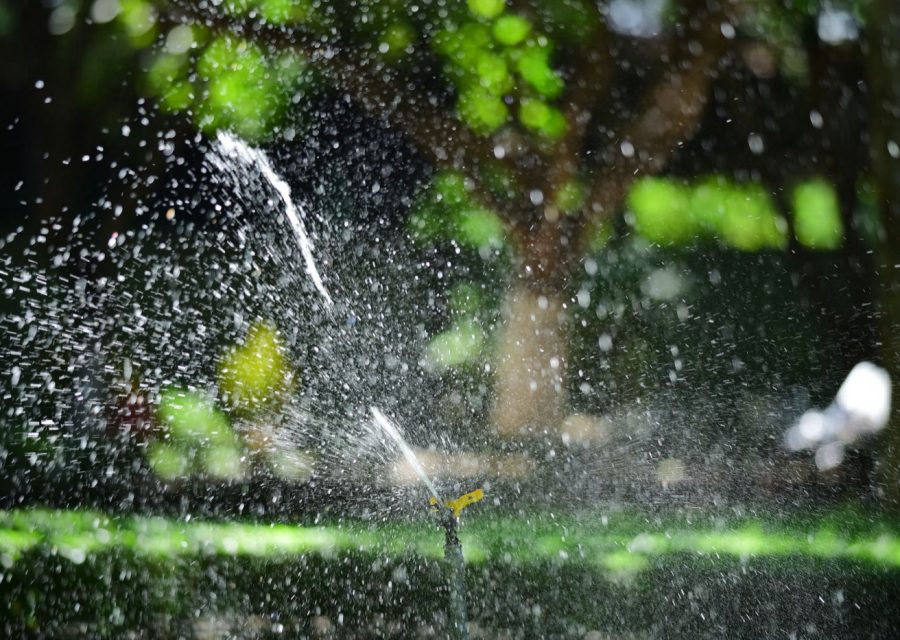 Gardena ou Hunter : quel arrosage automatique choisir