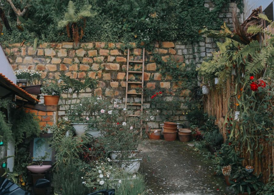 Jardin en terrasses avec mur de pierre, pots de fleurs et roses grimpantes