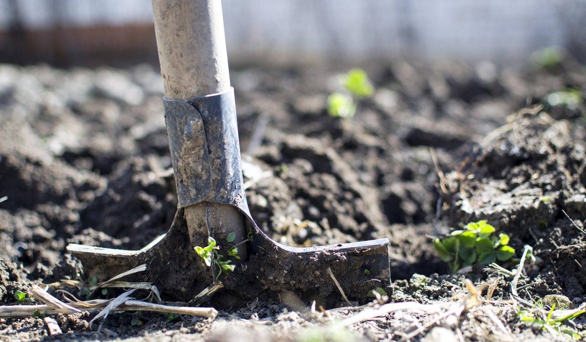 Jardin et extérieur : guides pratiques et idées