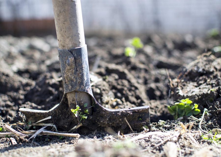 Jardin et extérieur : guides pratiques et idées