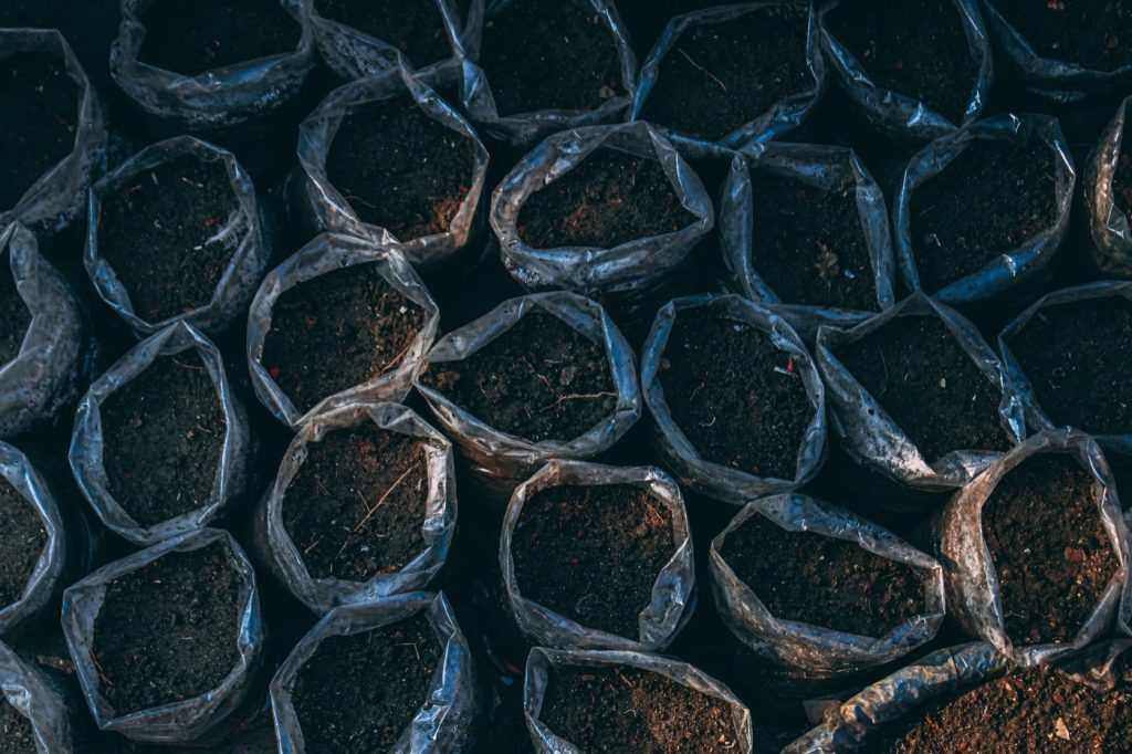Choisir le terreau adapté pour son potager