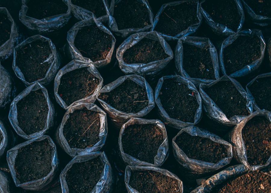 Choisir le terreau adapté pour son potager