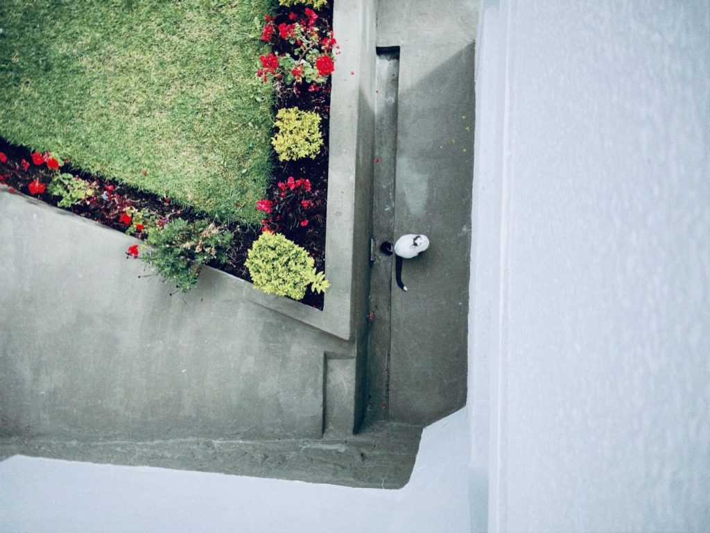 Meilleures idées pour aménager un petit jardin