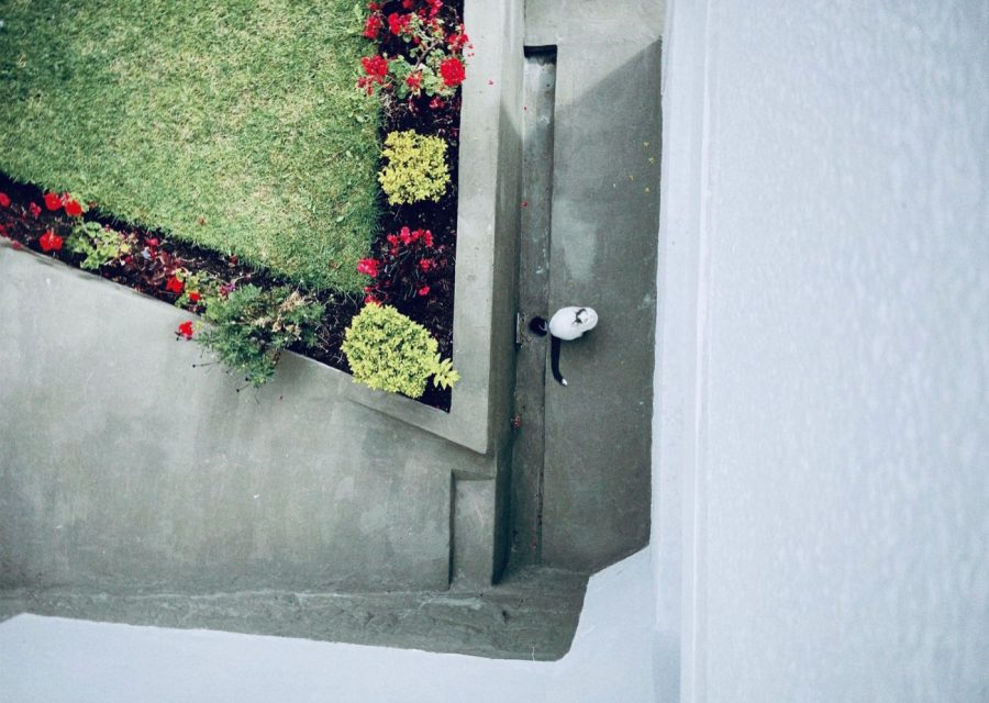 Meilleures idées pour aménager un petit jardin