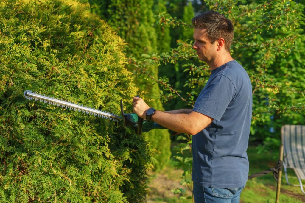Paysagiste à Dijon : choisir un professionnel local