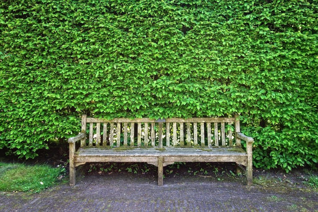 Paysagiste à Grenoble : aménager et entretenir votre jardin