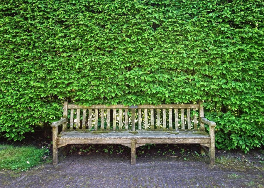 Paysagiste à Grenoble : aménager et entretenir votre jardin