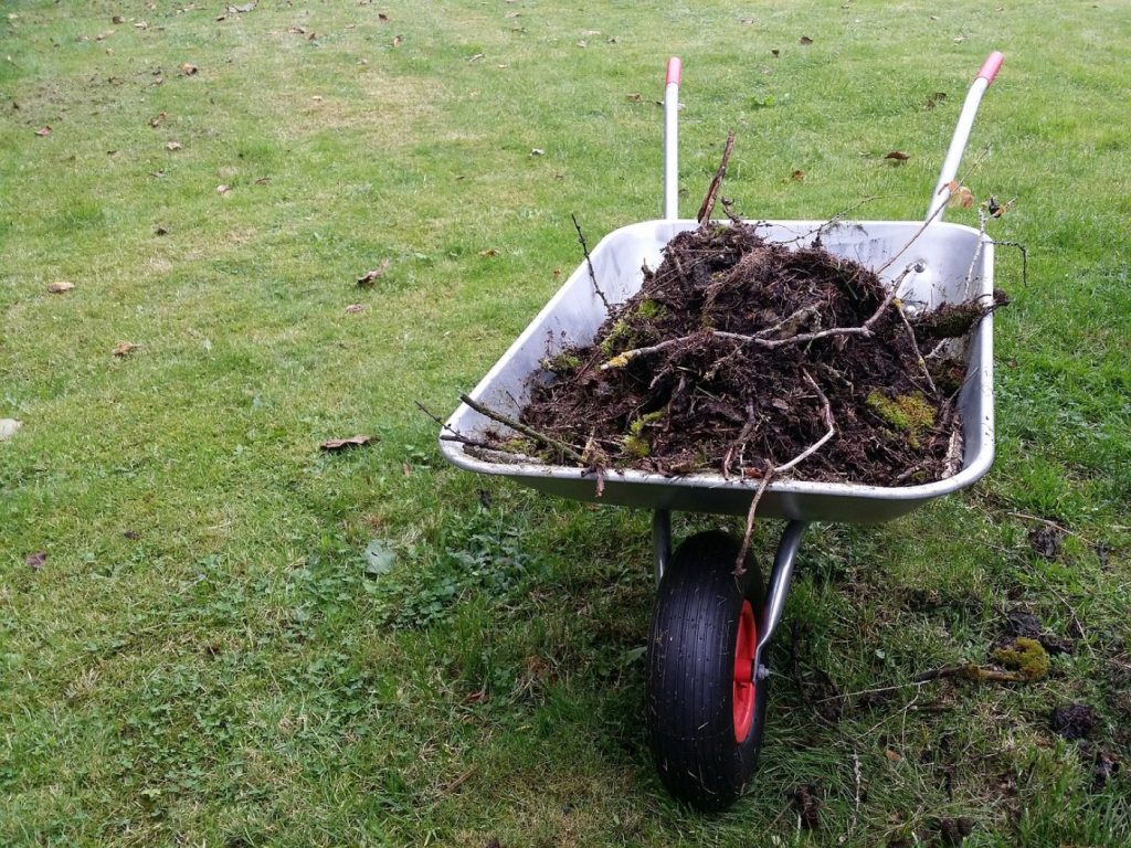 Paysagiste à Nancy : création et entretien de jardin