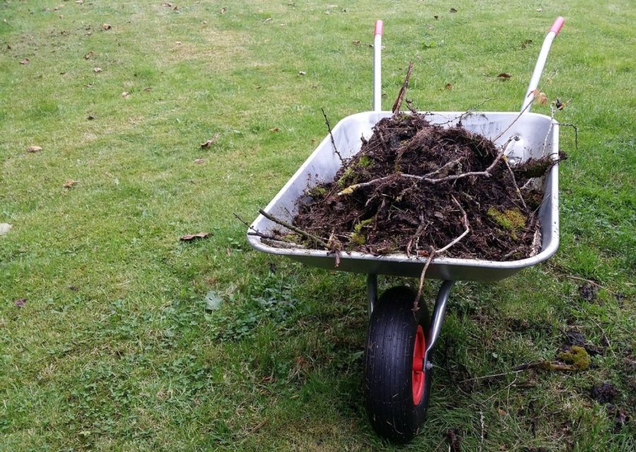 Paysagiste à Nancy : création et entretien de jardin