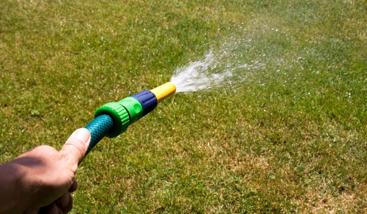 Entretenir sa pelouse avec parcimonie : les clés d’un jardin économe en eau
