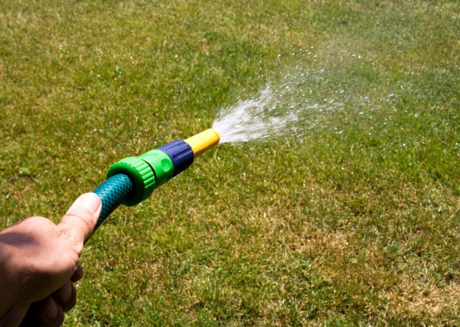 Entretenir sa pelouse avec parcimonie : les clés d’un jardin économe en eau