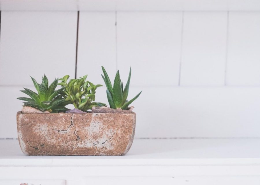 Aménager un petit balcon ou petit jardin: guide pratique