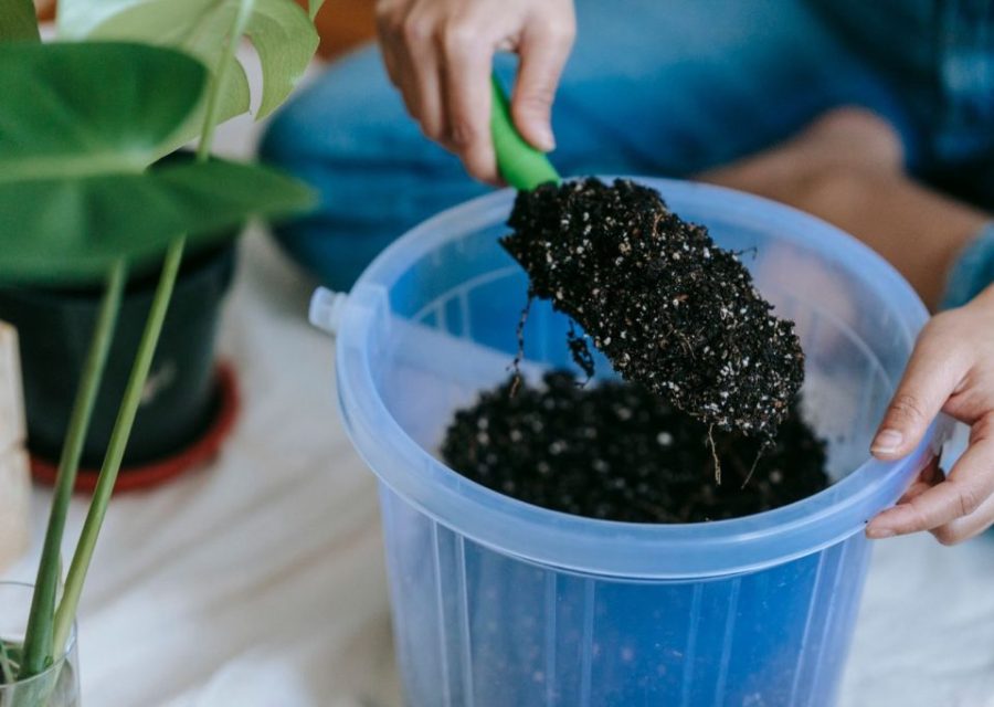 Rénover un petit muret de jardin : matériaux et étapes