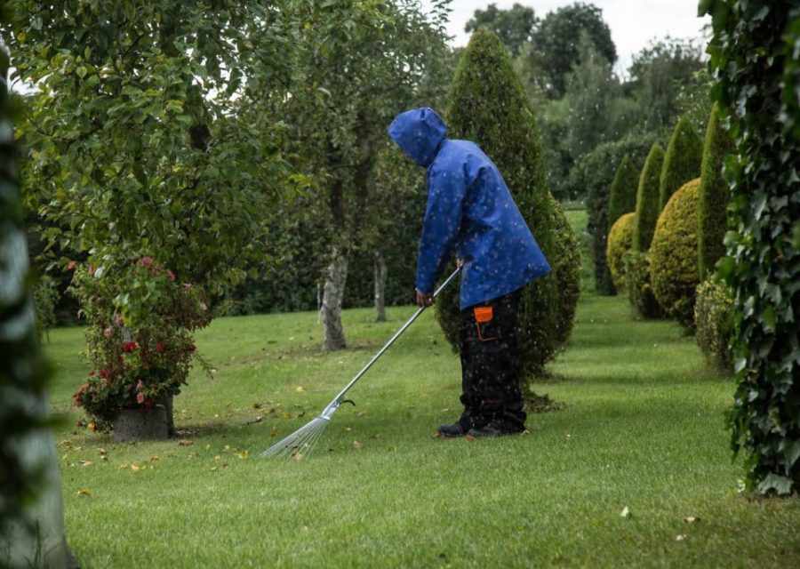Meilleurs outils compacts pour petits jardins et terrasses
