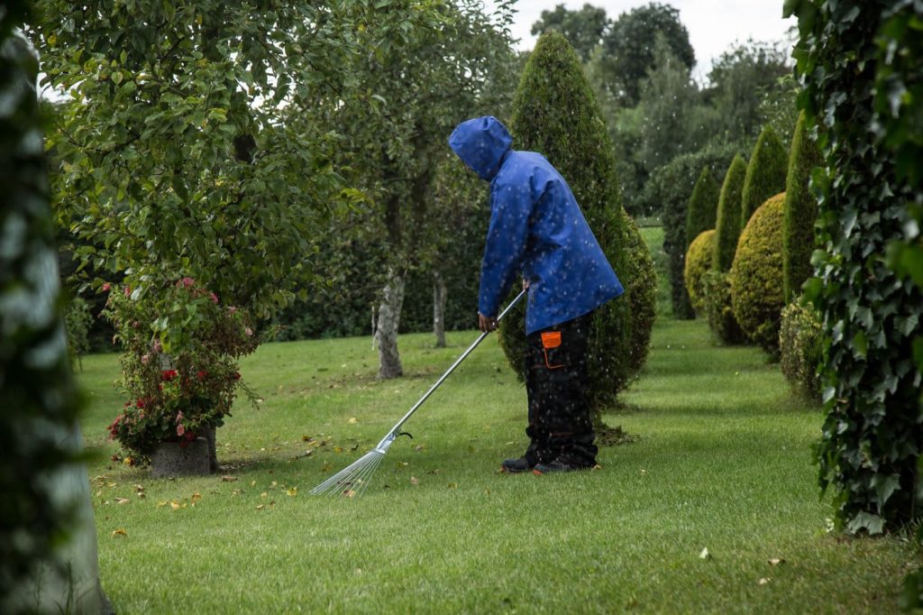 Meilleurs outils compacts pour petits jardins et terrasses