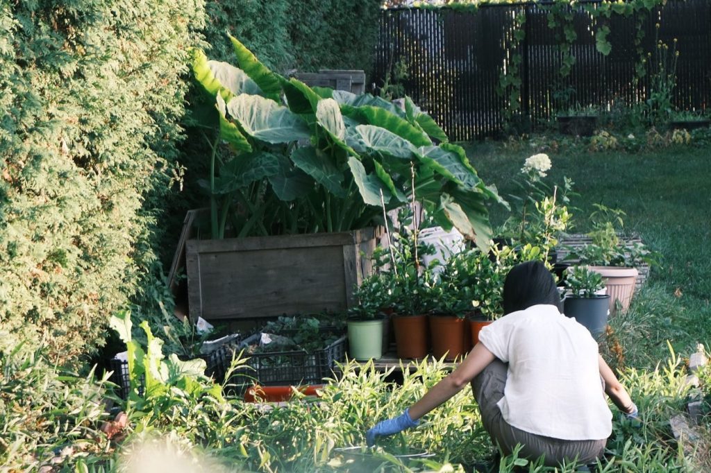 Astuces pour réduire le budget d'entretien du jardin