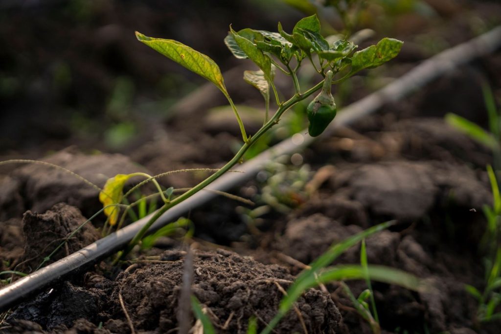 Réduire sa facture d'eau à la maison et au jardin