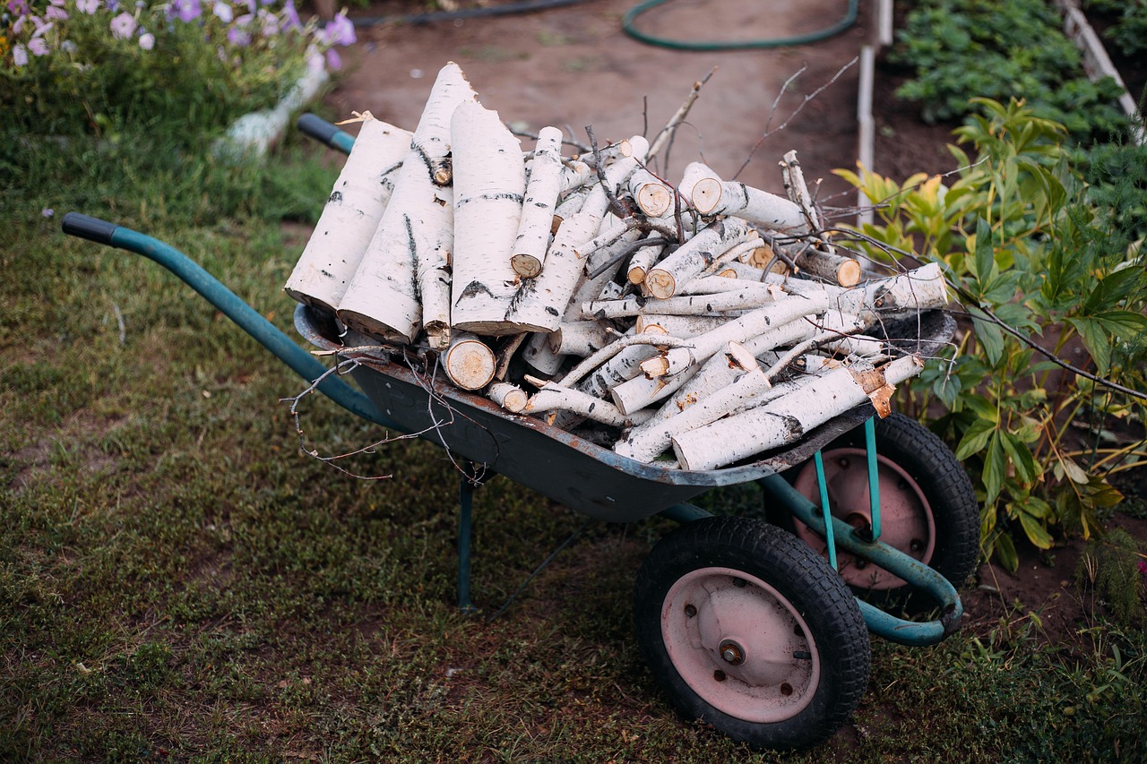 brouette de jardin à deux roues chargée de rondins de bois coupés dans un jardin