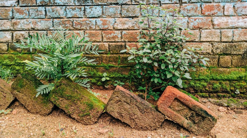 Rénover un petit muret de jardin : guide pratique