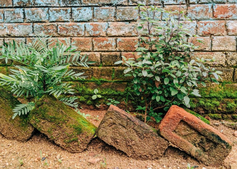 Rénover un petit muret de jardin : guide pratique