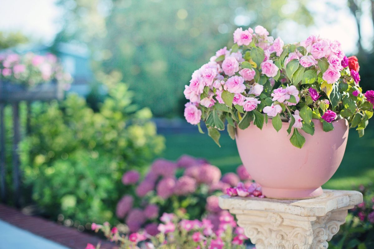 Aménager son jardin pour se protéger des fortes chaleurs