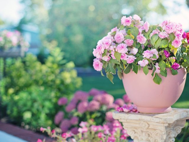 Aménager son jardin pour se protéger des fortes chaleurs