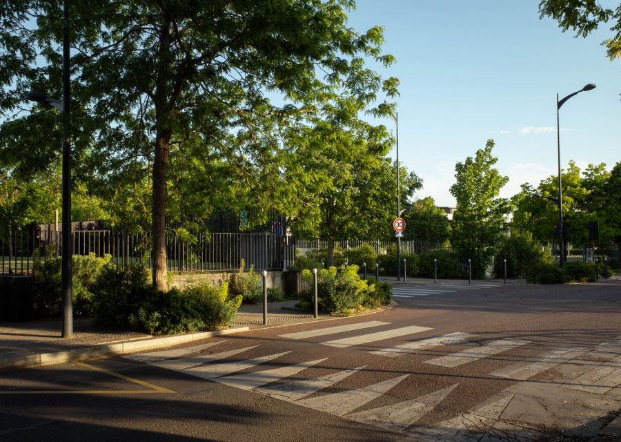 Paysagiste à Orléans : services, contraintes et démarches