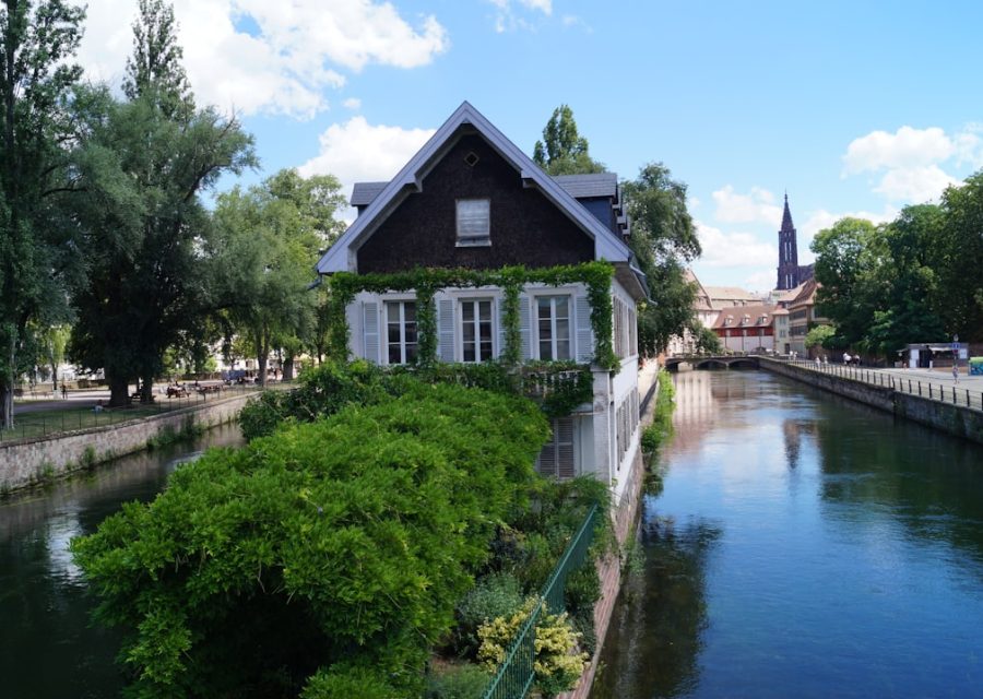 Paysagiste à Strasbourg : conception et entretien de jardin