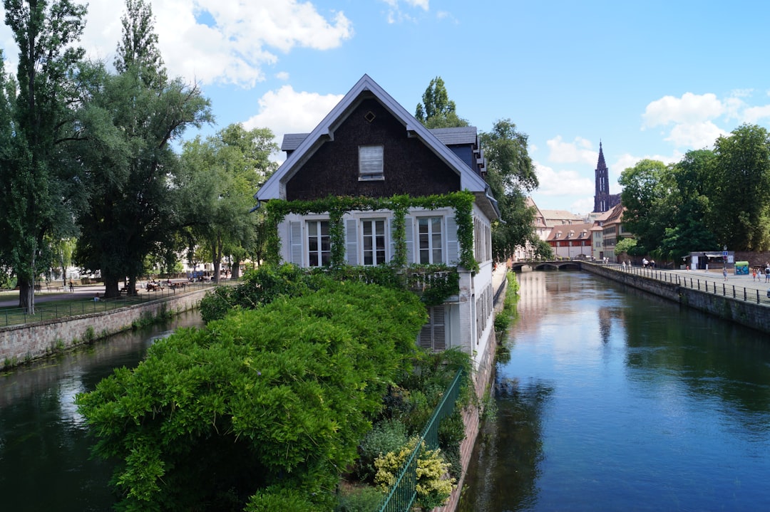 Paysagiste à Strasbourg : conception et entretien de jardin