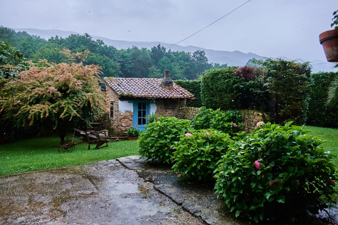 Réduire sa facture d'eau à la maison et au jardin
