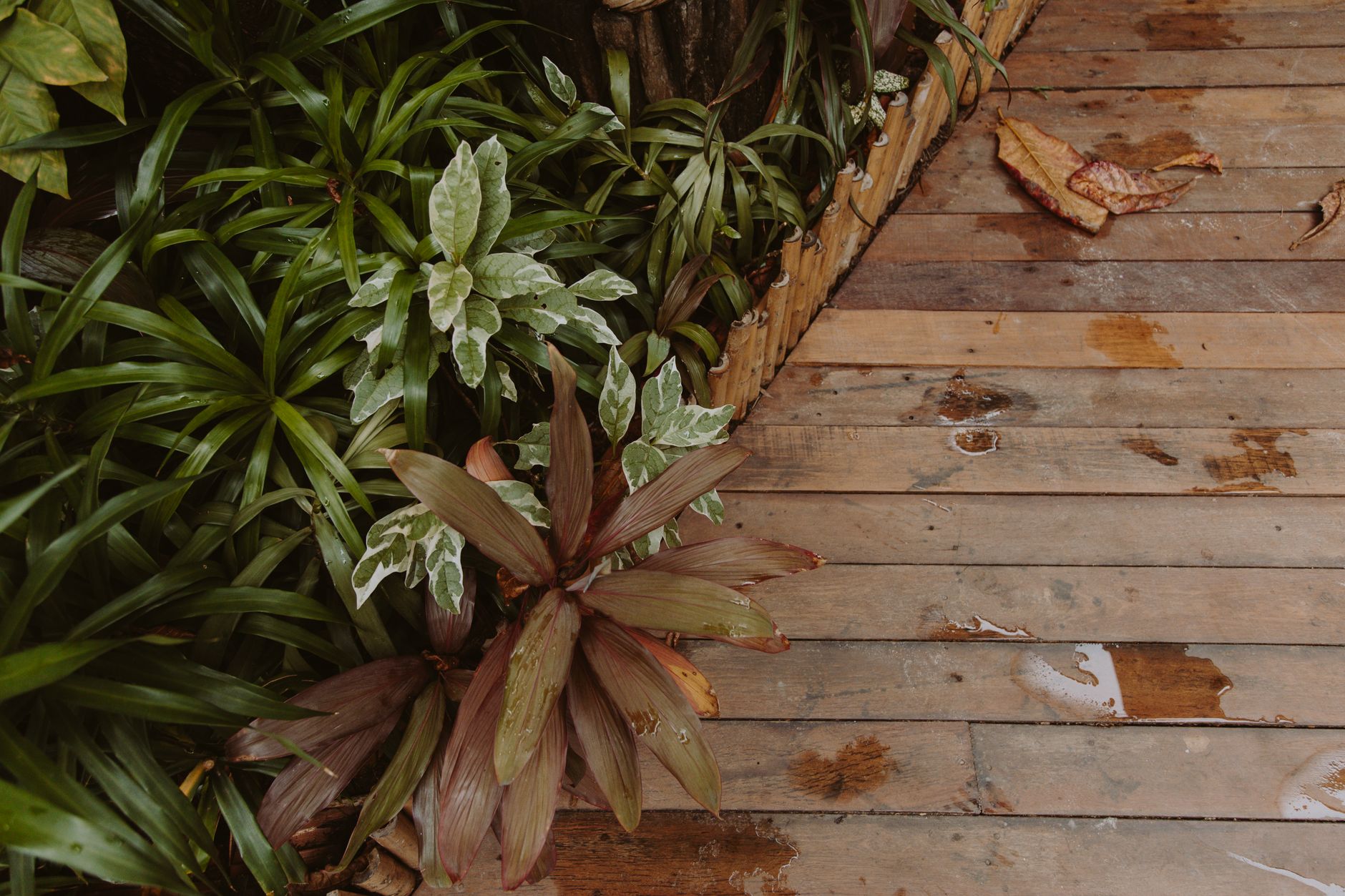 Entretenir une terrasse en bois pour la faire durer
