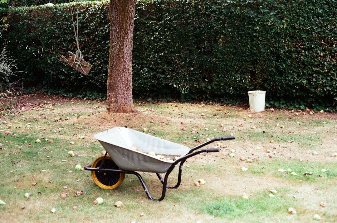 Meilleurs outils compacts pour petits jardins et terrasses