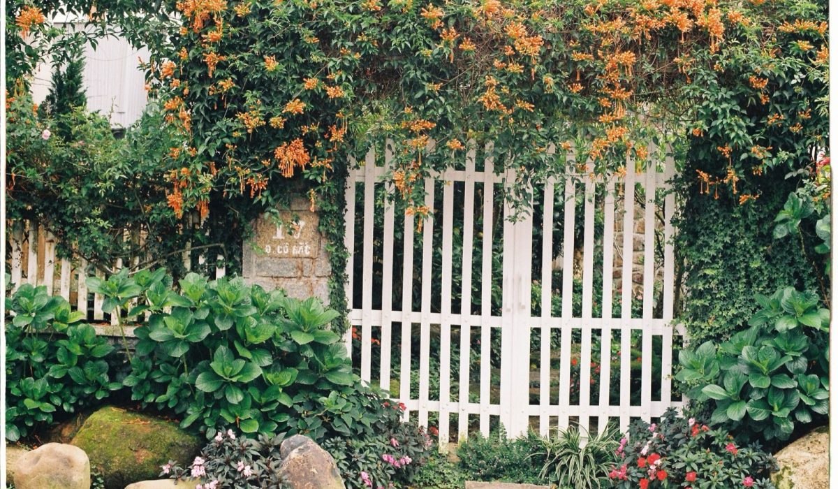 Clôture de jardin : quel portail choisir selon la configuration