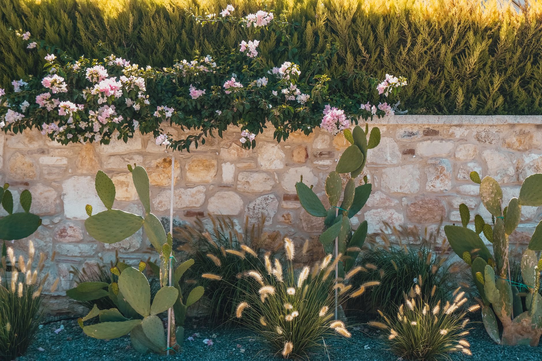 Dès cet été, sauvez votre jardin des vagues de chaleur