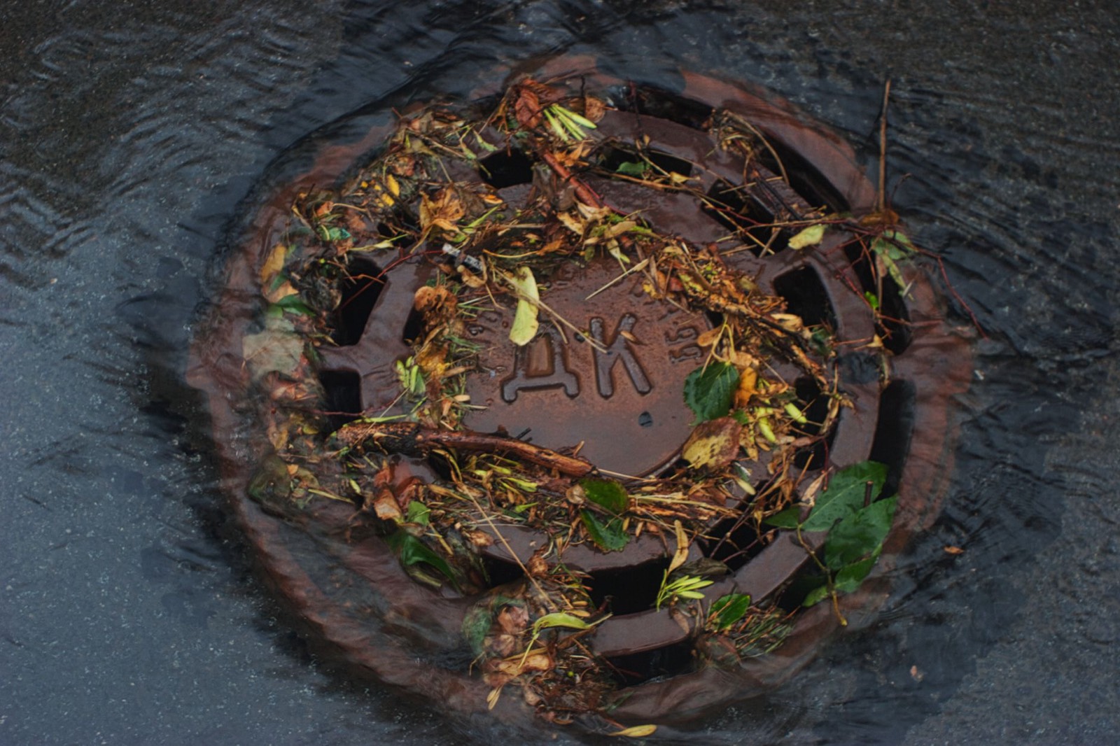 Grille d'évacuation de terrasse obstruée par des feuilles mortes