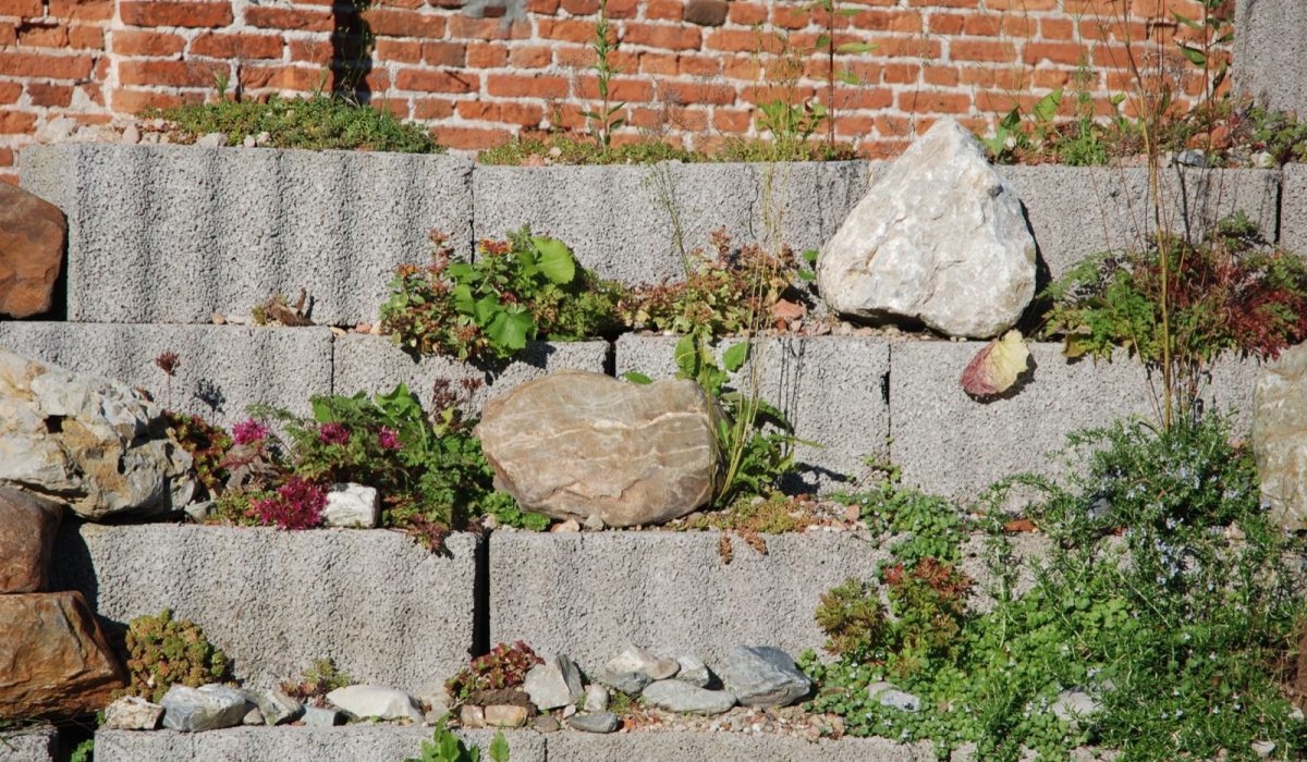 Jardin en pente douce : comment répartir le dénivelé sans tout terrass