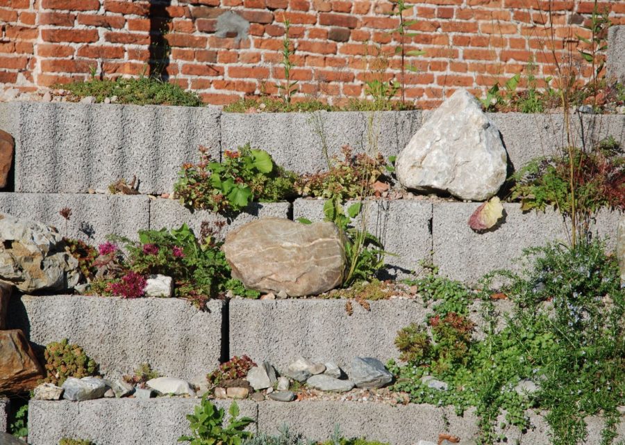 Jardin en pente douce : comment répartir le dénivelé sans tout terrass
