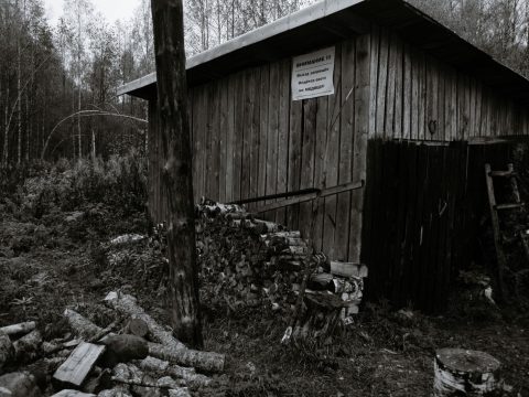 Prix d'une chaudière à bois en 2026 : bûches, granulés ou mixte