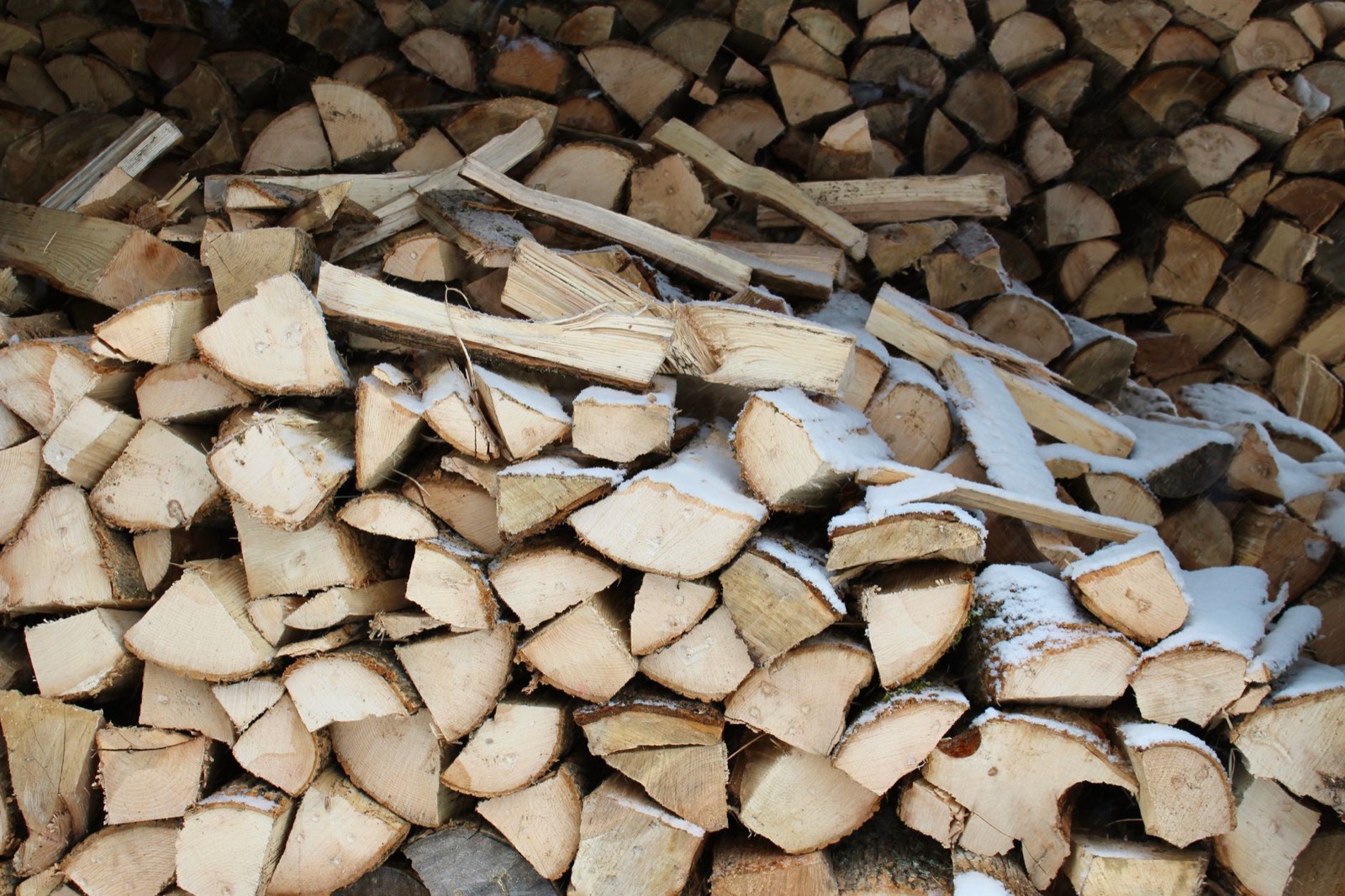 Bûches de bois de chauffage empilées sous un abri en bois, au sec